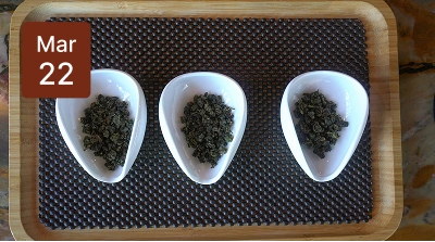 Guided-Tea-Ceremony